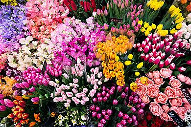 《勇者斗恶龙X 离线版》真人CM公布 游戏9月15日发售